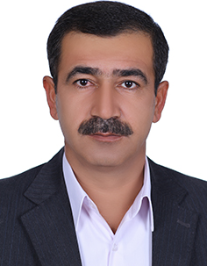 نصیر حبیبی بابادی