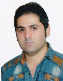 مصطفی گلی