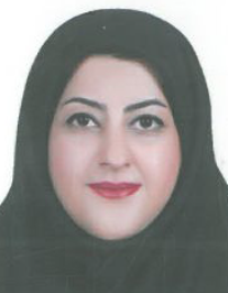 مینا منظورالحجه