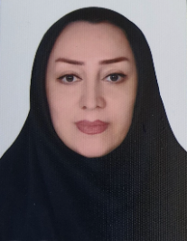 لیلی امیری اصل