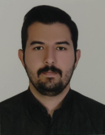 محسن گلی