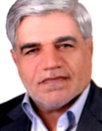 مرتضی شانه ای