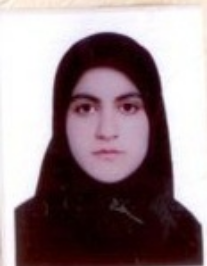 پارمیس کاکائی