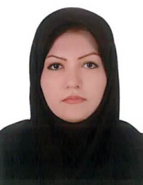 فروزش سلامی