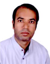 مجتبی پورفرهمند