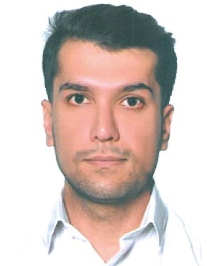 مهرداد برزگری
