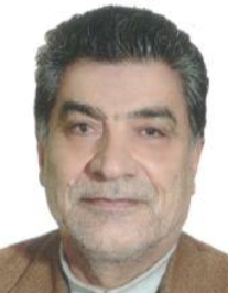 محمدرضا ایزدپناه کاخک