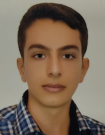 میثم محمدی علی آبادی