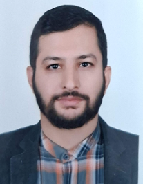 سید مجتبی حسینی