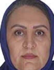 سیده جمیله نبوی حصار
