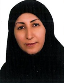 نیکو آقامحمدی