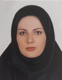 هاجر میری دیزج