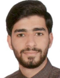 محمد ولایت مهر