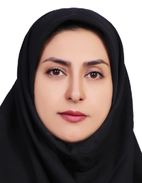 نازیلا ریخته گر نظامی