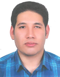 محمد رشیدی