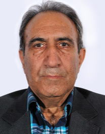 رضا بهادری