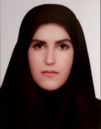 حمیده سادات موسوی شهیدی