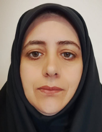 سیده مدینه انجمنی