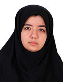 نکیسا دولتی