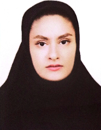 نیکو نیاپور