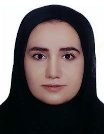 مریم سلیمانی