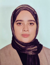 مینا بذرگری