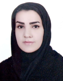 پریسا لنگری