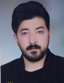 رضا محمدی