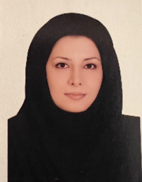 مریم ولی زاده