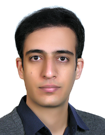 حامد گرجی
