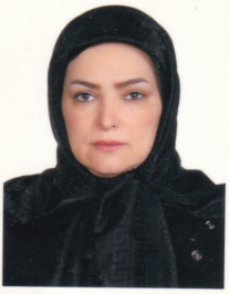 حمیده افضل وطن