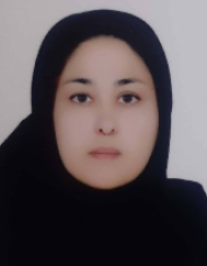 الهام مومنی گزستان