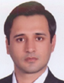سید علی حسینی المدنی