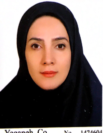 مریم موگوئی