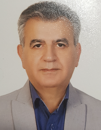 سید مهدی میرشریفا