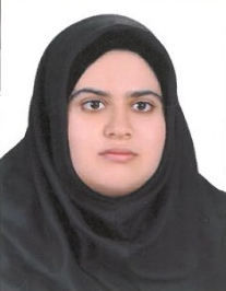 فروغ تمدنی