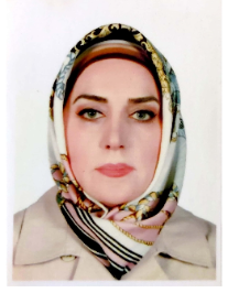 نجمه السادات هاتف الحسینی