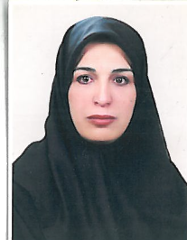شهین ترکی هرچگانی