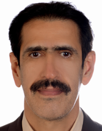 سعید دولابی