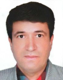 علیرضا راشکی قلعه نو