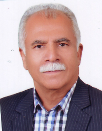 محمود رضا عرب