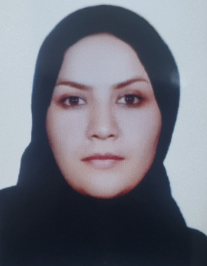 نرگس غلامی