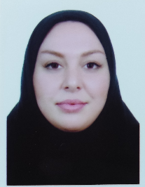 میناالسادات قلعه بندی