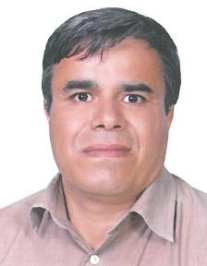 مجید حسین آبادی