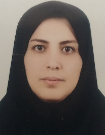 سولماز غلام اکبر