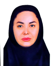 اعظم رضایی میر قائد