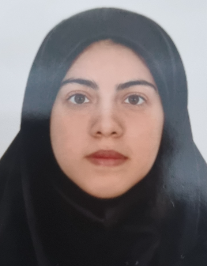 سوده قلعه نوئی