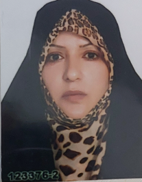 گیتی فیلی