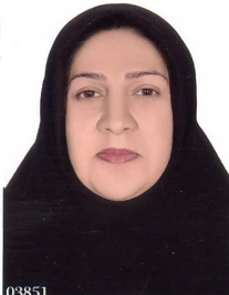 مریم ربیعی فرادنبه