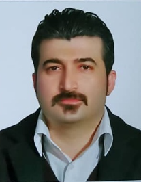 محمود سلمانی